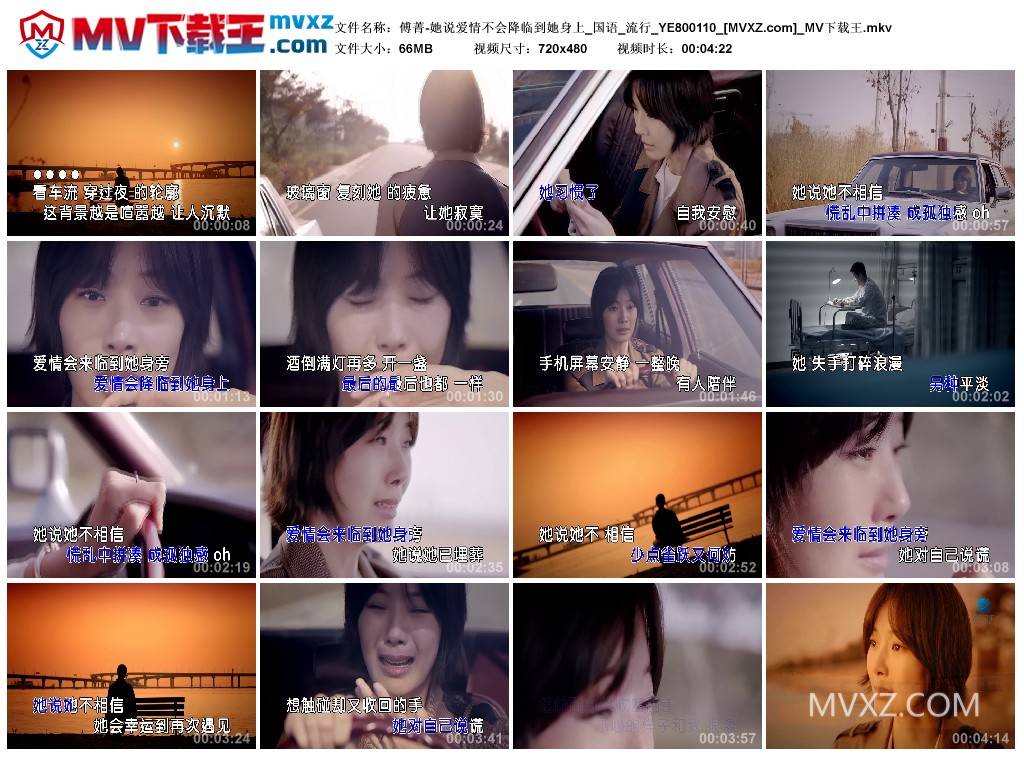 傅菁-她说爱情不会降临到她身上_国语_流行_YE800110